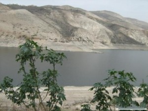 55 غطاساً يبحثون عن جثتي طارق وعلاء في "وادي العرب"