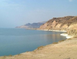 القبض على 4 موظفين سرقوا فندقا يعملون به بالبحر الميت