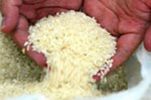 مخزون المملكة من السكر والأرز يكفي لـ 148 يوما فقط