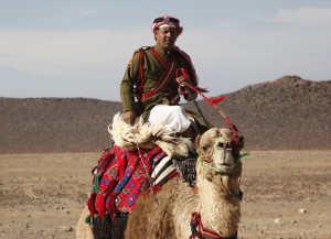 أزمة الأغنام: إصابة أحد مرتبات البادية واختفاء مواطنين ( تحديث )