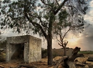 مقتل "مطهر" بجريمة بشعة ثانية خلال يومين في جرش