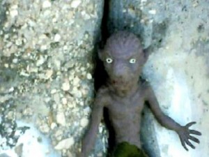 حالات هستيريا وغيبوبة بالأغوار الجنوبية بسبب "جني" مزعوم