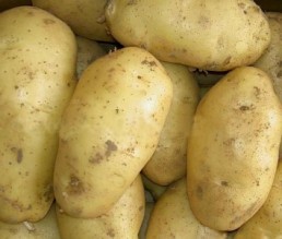 الأردن يوقف استيراد البطاطا