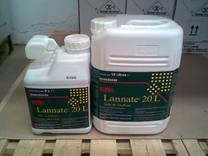 الزرقاء:شاب يقتل والدته ويسمم اشقائه الاربعة باللانيت