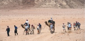 تجاوزات ومخالفات في منطقة رم السياحية تحرم الخزينة من عائدات مالية