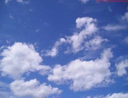 طقس ربيعي دافئ الثلاثاء والاربعاء