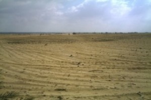 إحباط محاولة احتيال "مزدوجة" وتزوير في اللحظة الأخيرة