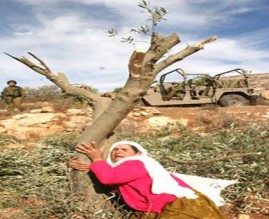 يوم الأرض .... يوم الكرامة والعزة ..بقلم النائب غازي عليان