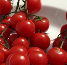 بعد ارتفاع اسعارها.. الزراعة توقف تصدير البندورة