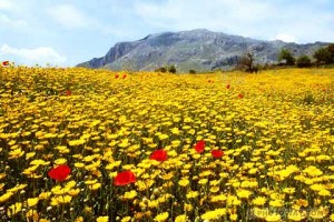 25 درجة الحرارة الجمعة والسبت