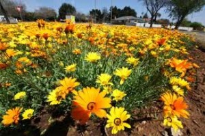 طقس حار نسبيا غدا ومعتدل الاثنين والثلاثاء