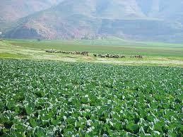 الثلاثاء : ارتفاع على درجات الحرارة ..