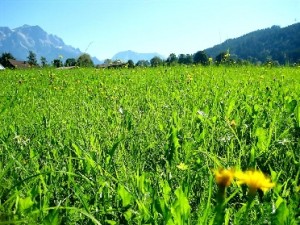 طقس معتدل نسبيا اليوم وغدا