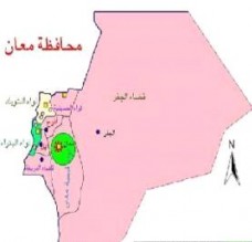 شاب يقتل شقيقه في الجفر