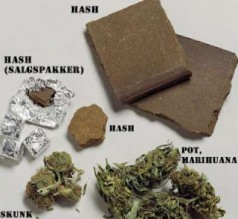 حقائق لا تعرفها عن الحشيش!!