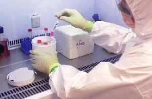 السفارة الفرنسية في عمان تتسلم مغلفاً يشتبه باحتوائه على «الجمرة الخبيثة»