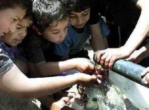 25 في المئة نسبة ارتفاع شكاوى المياه خلال نيسان الماضي في عمان