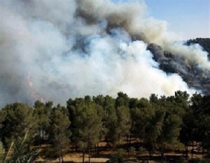 حريق يلتهم 150 دونما في الاغوار جراء تفجير الغام اسرائيلية