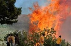 مزارعو وادي الأردن يقاضون الحكومة وإسرائيل