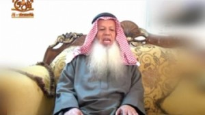 الطحاوي:اوباما بائس ومتعوس .. فيديو