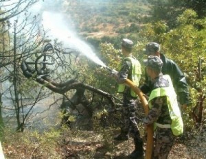 مراقبون: جهات متنفذة وراء حرائق جرش