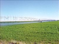 اﻟﻌدوان ﯾﻔﺗﺢ ﻣﻠﻔﺎت زراﻋﯾﺔ "ﺧطﯾرة" ﻏدً