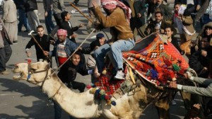 شفيق يتغيب عن الشهادة في قضية موقعة الجمل