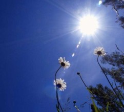 طقس حار اليوم وانخفاض بالحرارة غدا