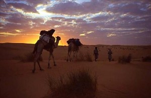 الثلاثاء : ارتفاع على درجات الحرارة