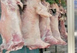 رفع الحظر عن استيراد اللحوم البلغارية