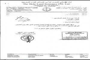 الأراضي المقدسة للتأمين.. تبديد أموال المساهمين