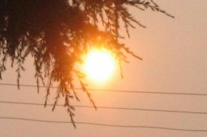 طقس معتدل إلى حار نسبيا