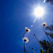 ارتفاع طفيف على درجات الحرارة خلال الايام الثلاثة المقبلة