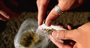 30 قضية مخدرات في الكرك هذا العام