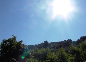 انخفاض طفيف على الحرارة غدا