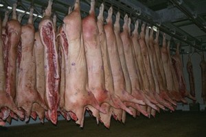 الأمانة : خطة لعمل دائرة المسالخ خلال رمضان