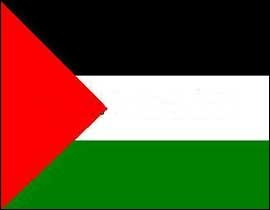 هنري كليفورد مواطن امريكي يدفع 35 الف دولار لكشف سرقة دولة الكيان لأراضي فلسطين