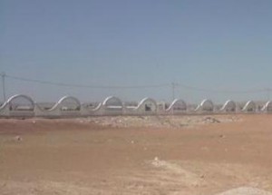 هروب 200 لاجئ سوري في الرمثا