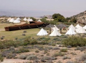 حريق مفتعل في بساتين قرية ضانا السياحية