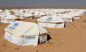 1600 سوري يفرون إلى الأردن