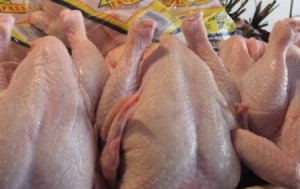 تراجع أسعار الدجاج 10 قروش للكيلو