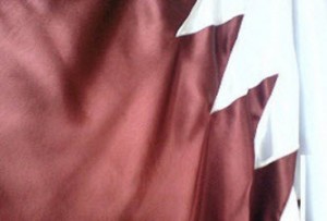 مسؤول قطري يطلب اللجوء السياسي الى فنزويلا يتهم بلاده بالتآمر على الاردن