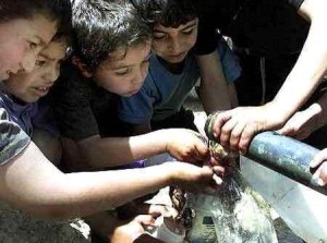 اهالي الطيبة ما زالوا يشتكون عدم وصول المياه