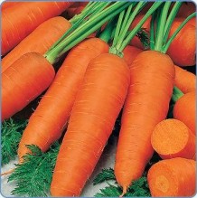 استيراد 546 طناً من الجزر الاسرائيلي الشهر الماضي