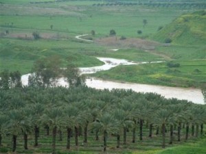 بدء التحضير للعروة التشرينية في وادي الاردن