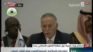 "التعاون الإسلامي" يعلق عضوية سوريا