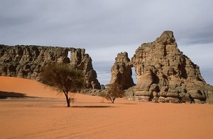 مشاجرة تخلف قتيلا في رم