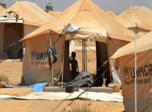 هاربر: 6160 لاجئا سوريا في مخيم الزعتري نصفهم من الأطفال