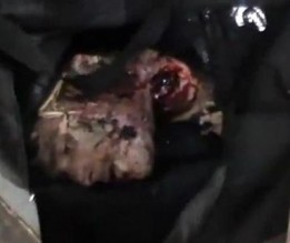 النظام السوري يرتكب مجزرة جديدة بدوما قبيل العيد