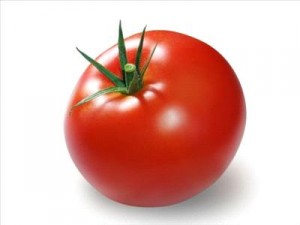 ارتفاع اسعار البندورة الجيدة